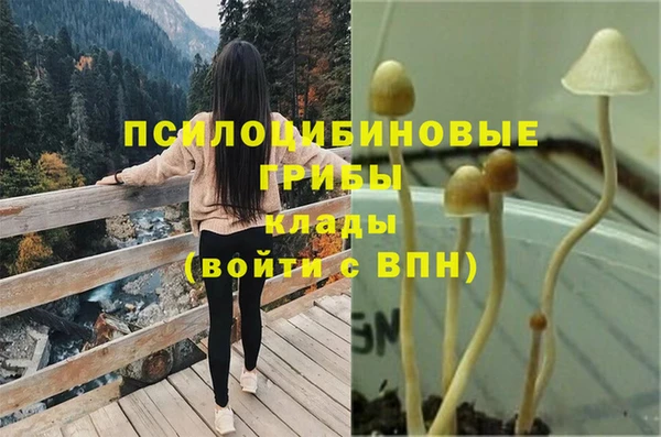 соль ск Медногорск