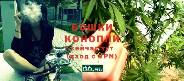 прущие грибы Мегион