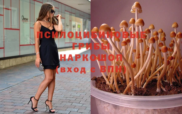 соль ск Медногорск