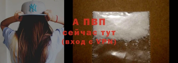 прущие грибы Мегион