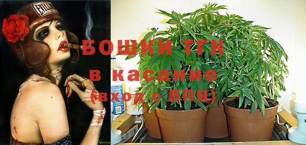 прущие грибы Мегион