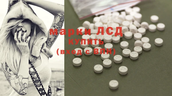 прущие грибы Мегион