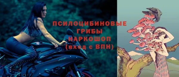 прущие грибы Мегион