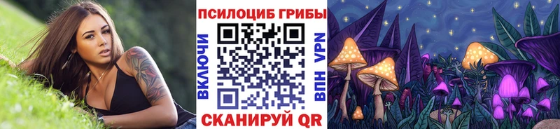 купить   Смоленск  Галлюциногенные грибы Psilocybine cubensis 
